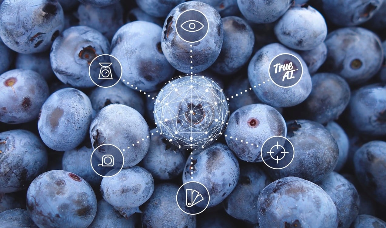 What are the powerful benefits of AI for your blueberry grading?