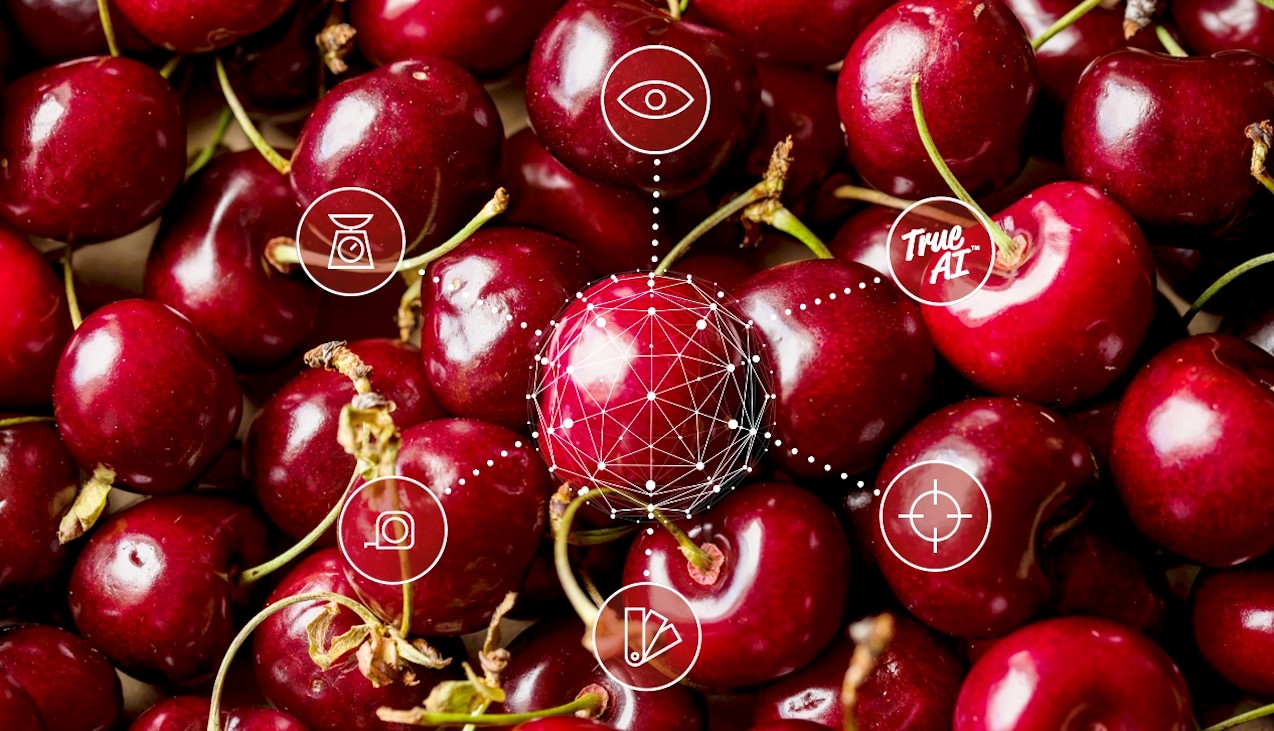 What are the powerful benefits of AI for your cherry grading?