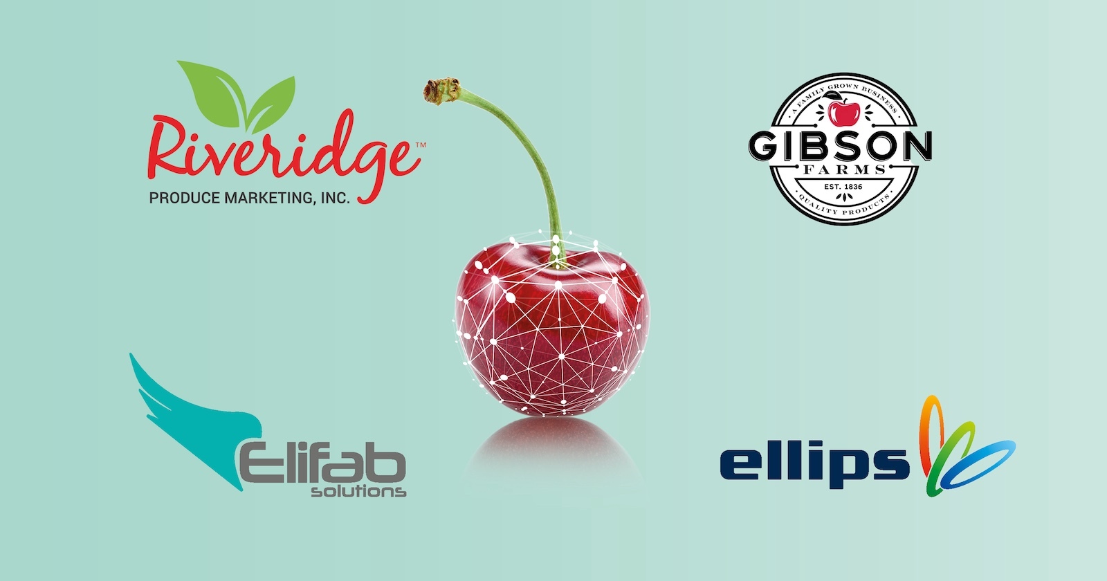 Riveridge Produce and Gibson Farms select Elifab Cherry Grading Lines from Ellips Group