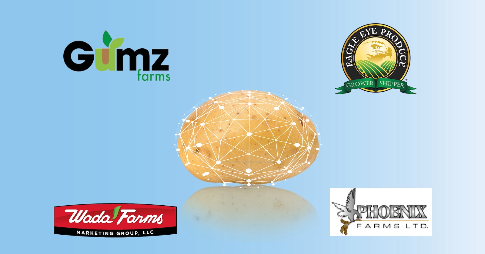 Ellips adds four new Elisam Potato Grading installations across North America
