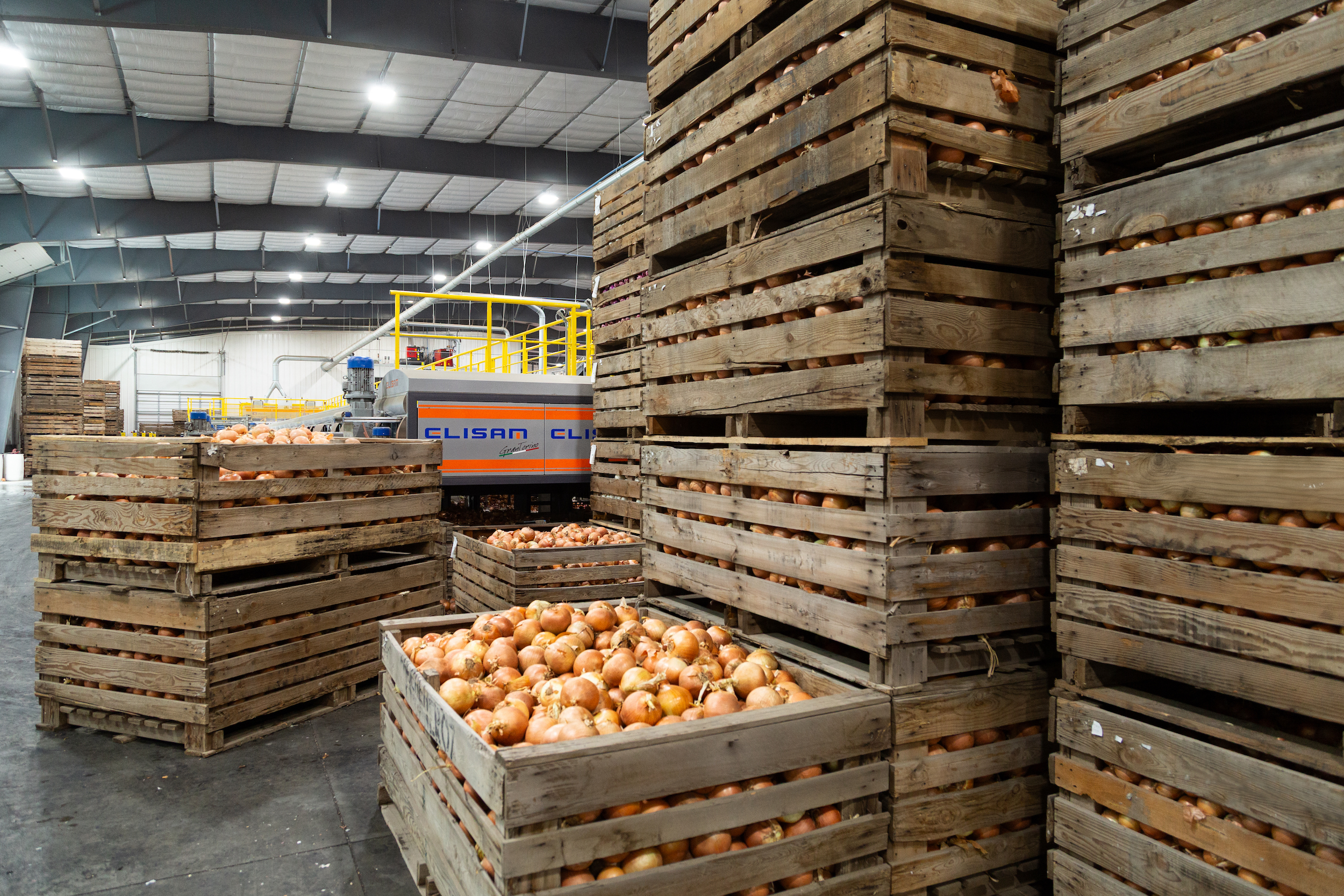 Fusarium problems: how can you still deliver quality?