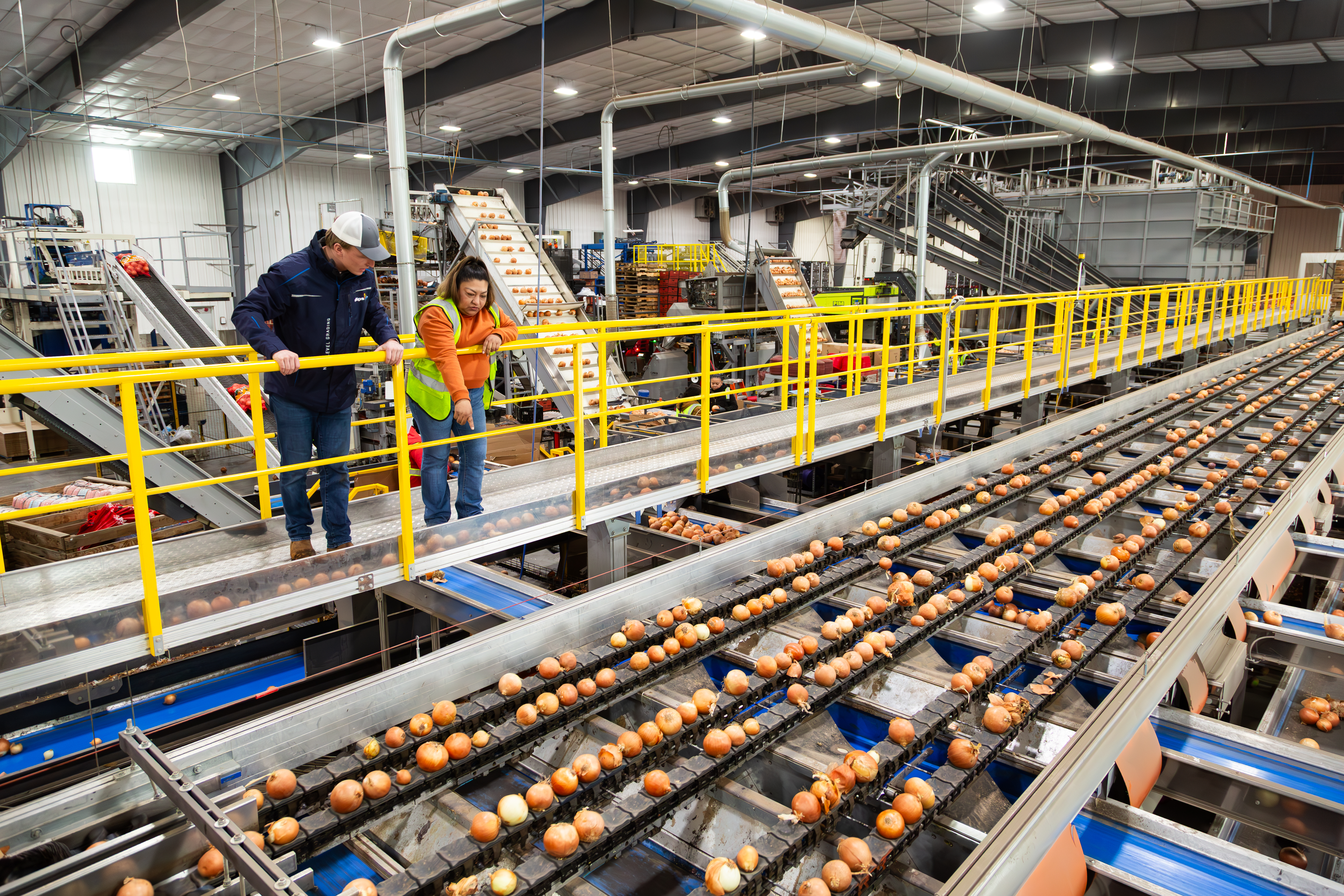 How Owyhee Produce uses AI to deliver consistency that builds reputation and market share