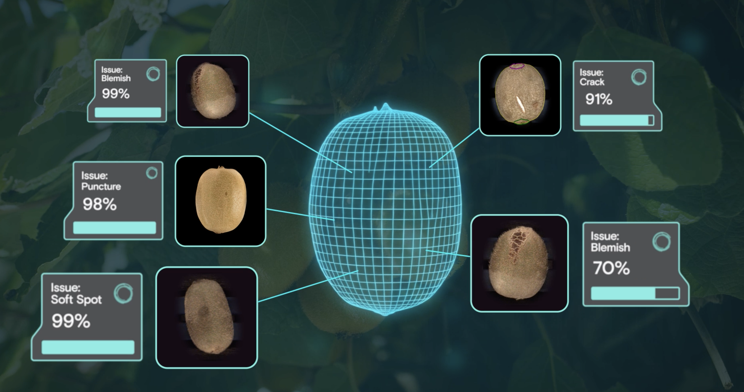 Maximize your harvest value with AI kiwi grading