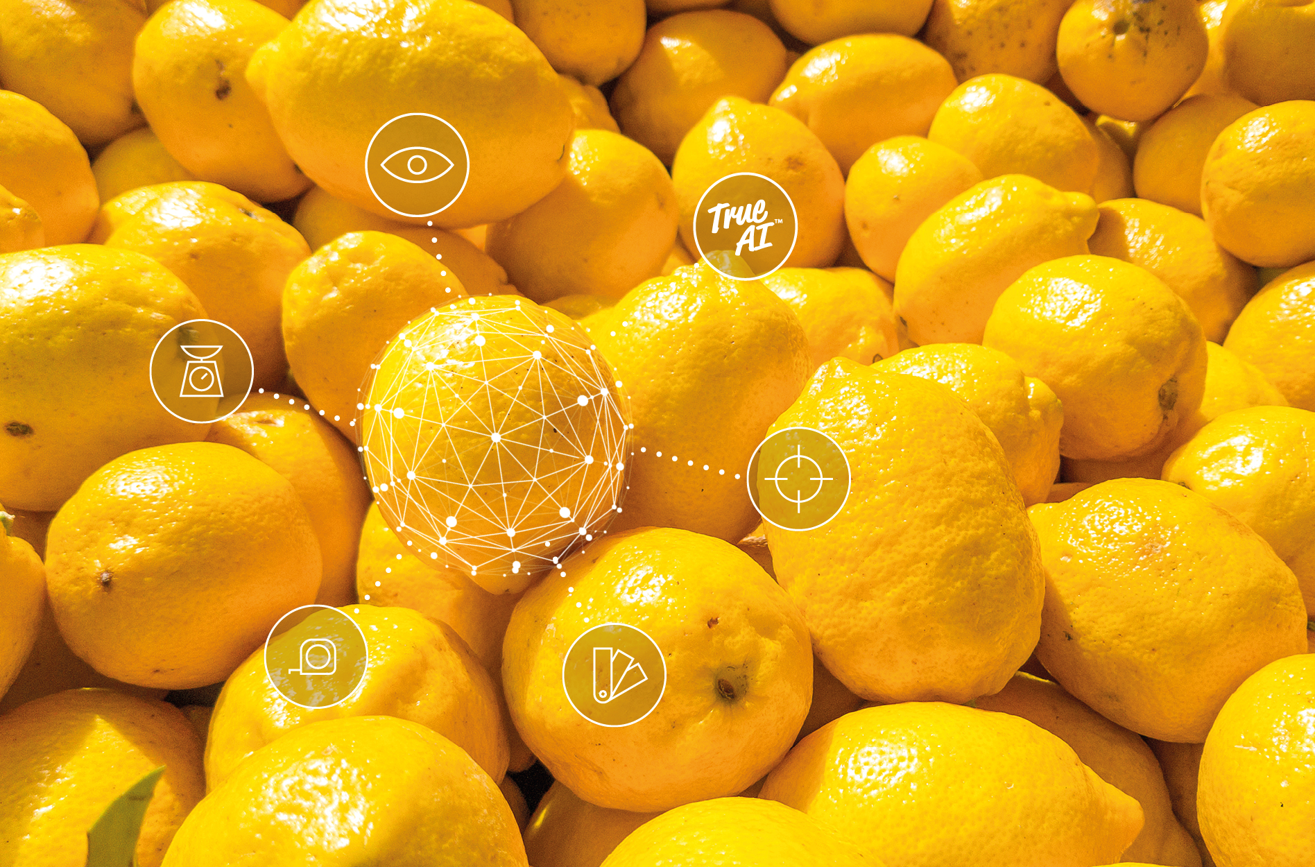 What are the powerful benefits of AI for your lemon grading?