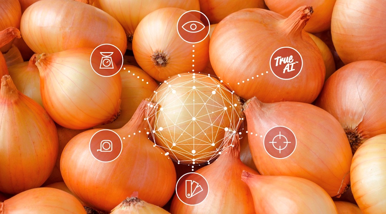 What are the powerful benefits of AI for your onion grading?