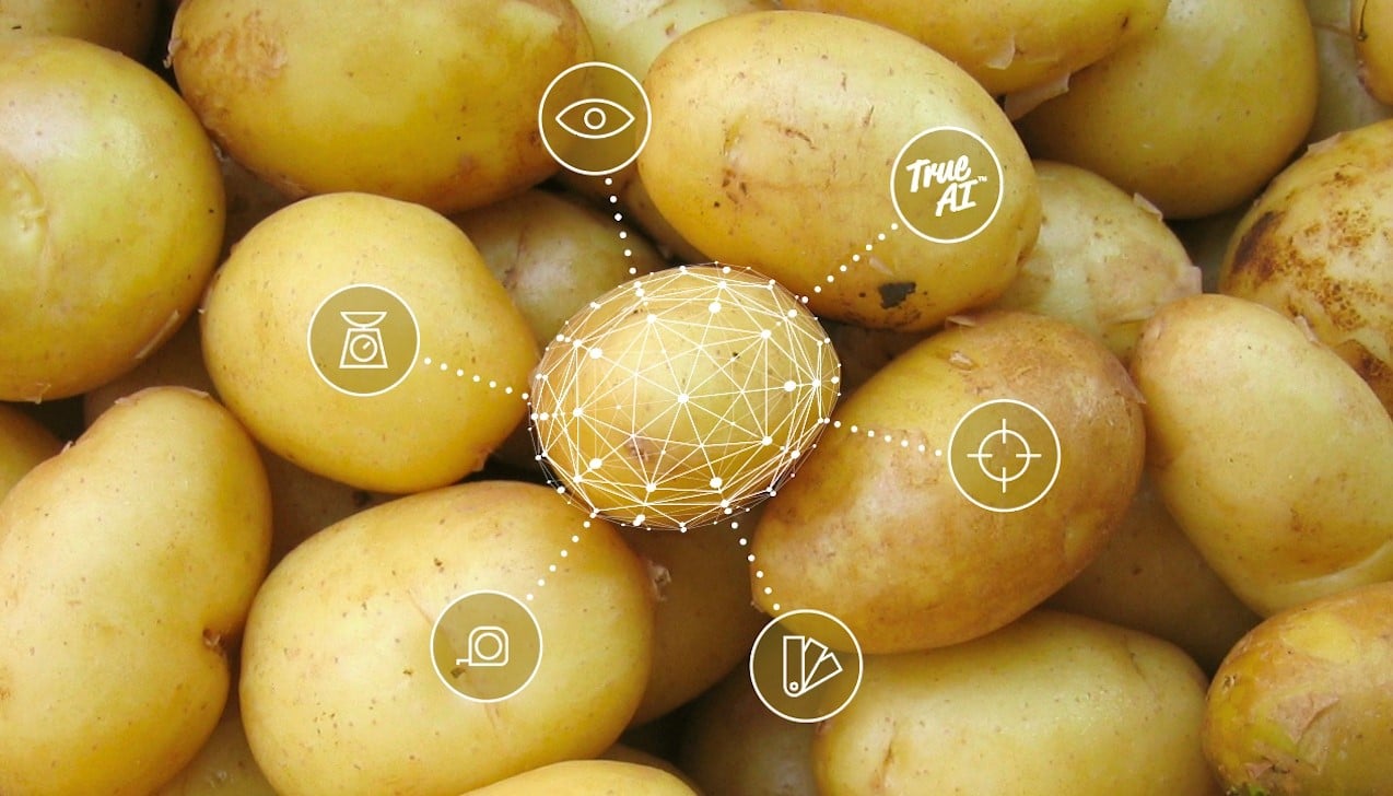 What are the powerful benefits of AI for your potato grading?
